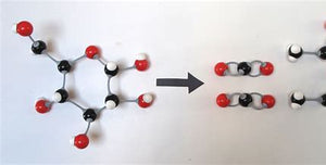 Molecular structure illustrating Carbon 6 name meaning with bond formations in chemistry.