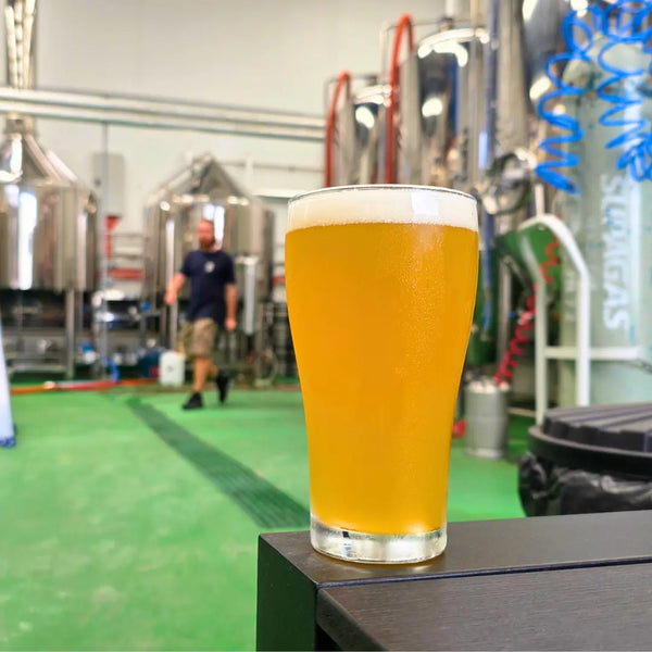 nova dust hazy IPA