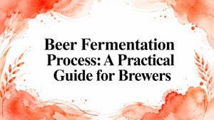 Beer Fermentation Process: A Practical Guide for Brewers