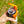 C6 Klever Cap on a beer can, showcasing the clip and flip lid design for a clean sip outdoors.