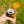 C6 Klever Cap beer can flip lid in use, showcasing a hand holding a can with a bright orange cap.