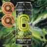 Zingularity Lime & Kiwi Gose