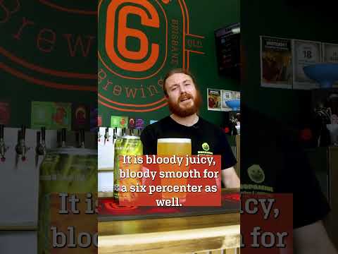 carbon 6 brewing nova dust hazy IPA